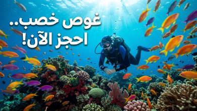 حجز تذاكر تجربة الغوص في خصب مسندم عمان