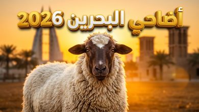 جدول أسعار الأضاحي في مملكة البحرين لعام 2026 الأغنام والعجول
