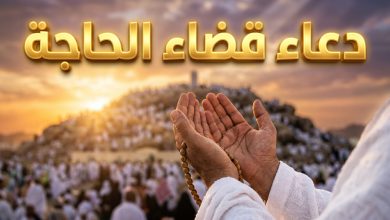 أيادي مرفوعة بالدعاء لقضاء الحاجة وتفريج الهموم في يوم عرفة