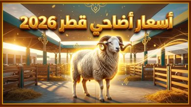 جدول أسعار الأضاحي في دولة قطر لعام 2026 والمبادرة الوطنية