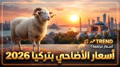 دليل أسعار الأضاحي في تركيا 2026 وأماكن البيع المعتمدة